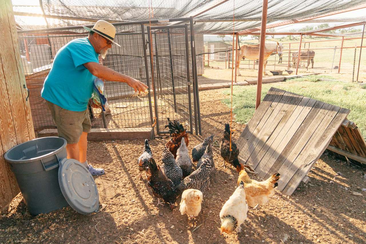 In the morning, the host showed me how he feeds all of the animals.