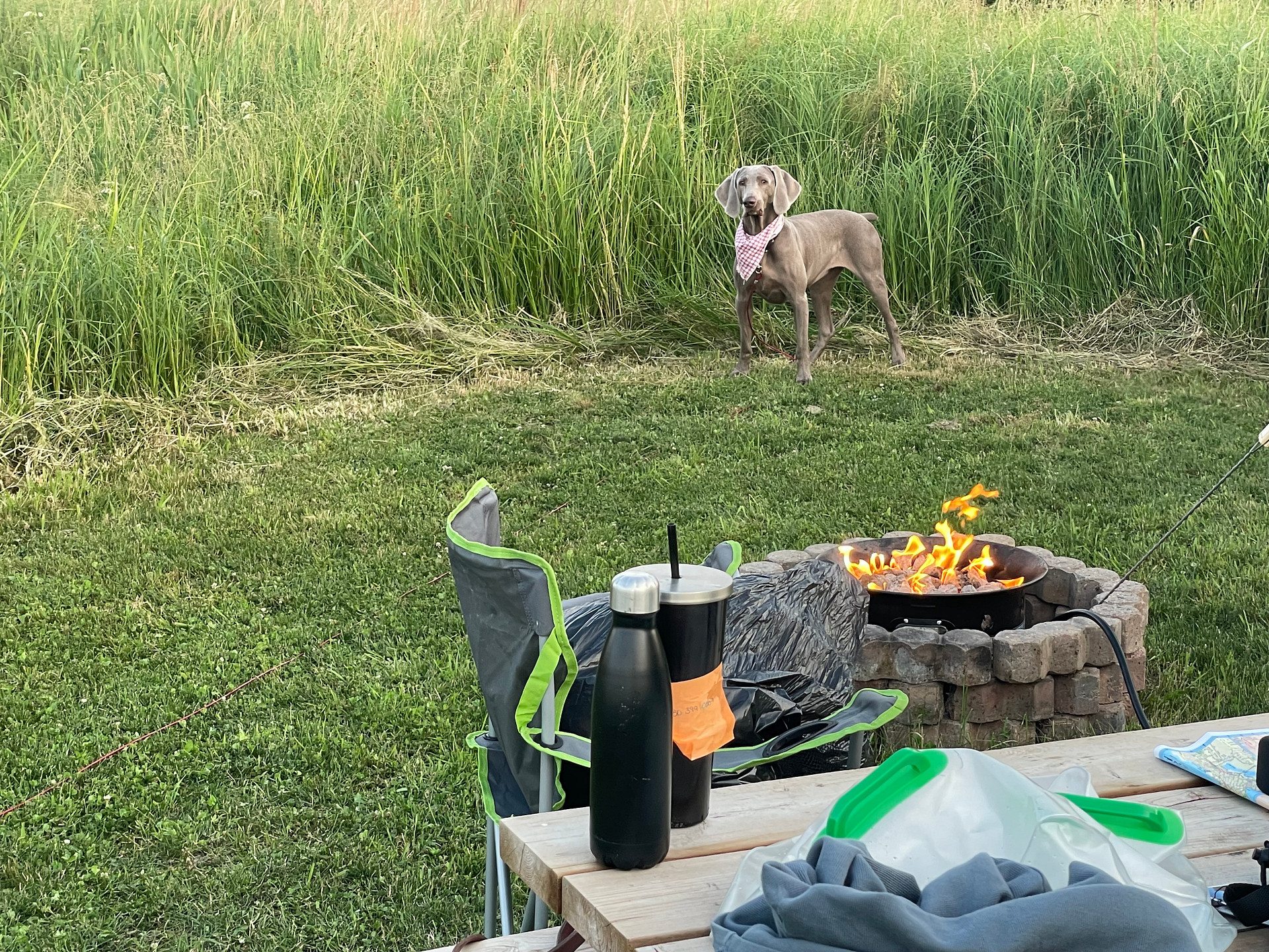 Elk Island Getaway