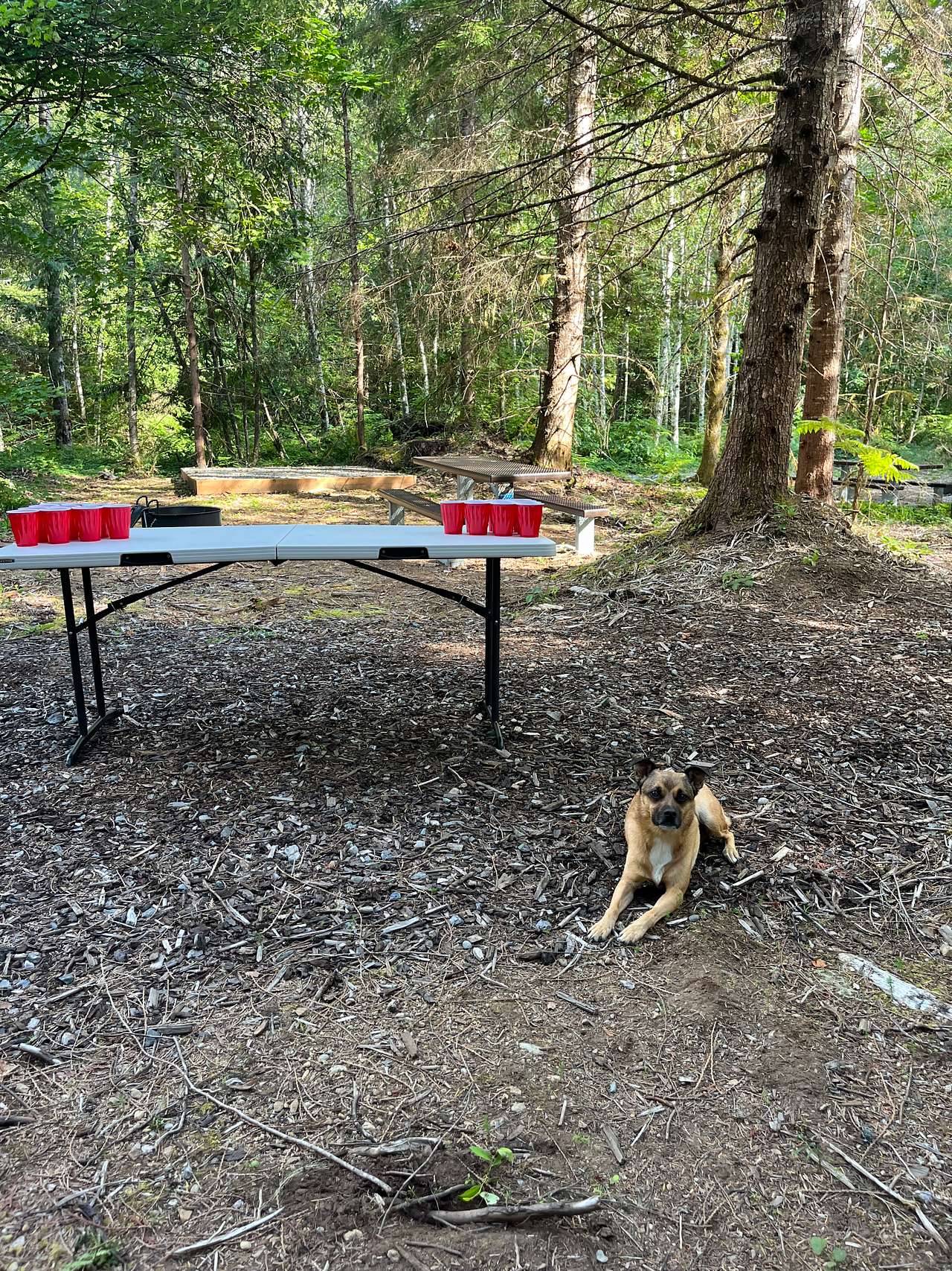 Spearhead Lake Campground