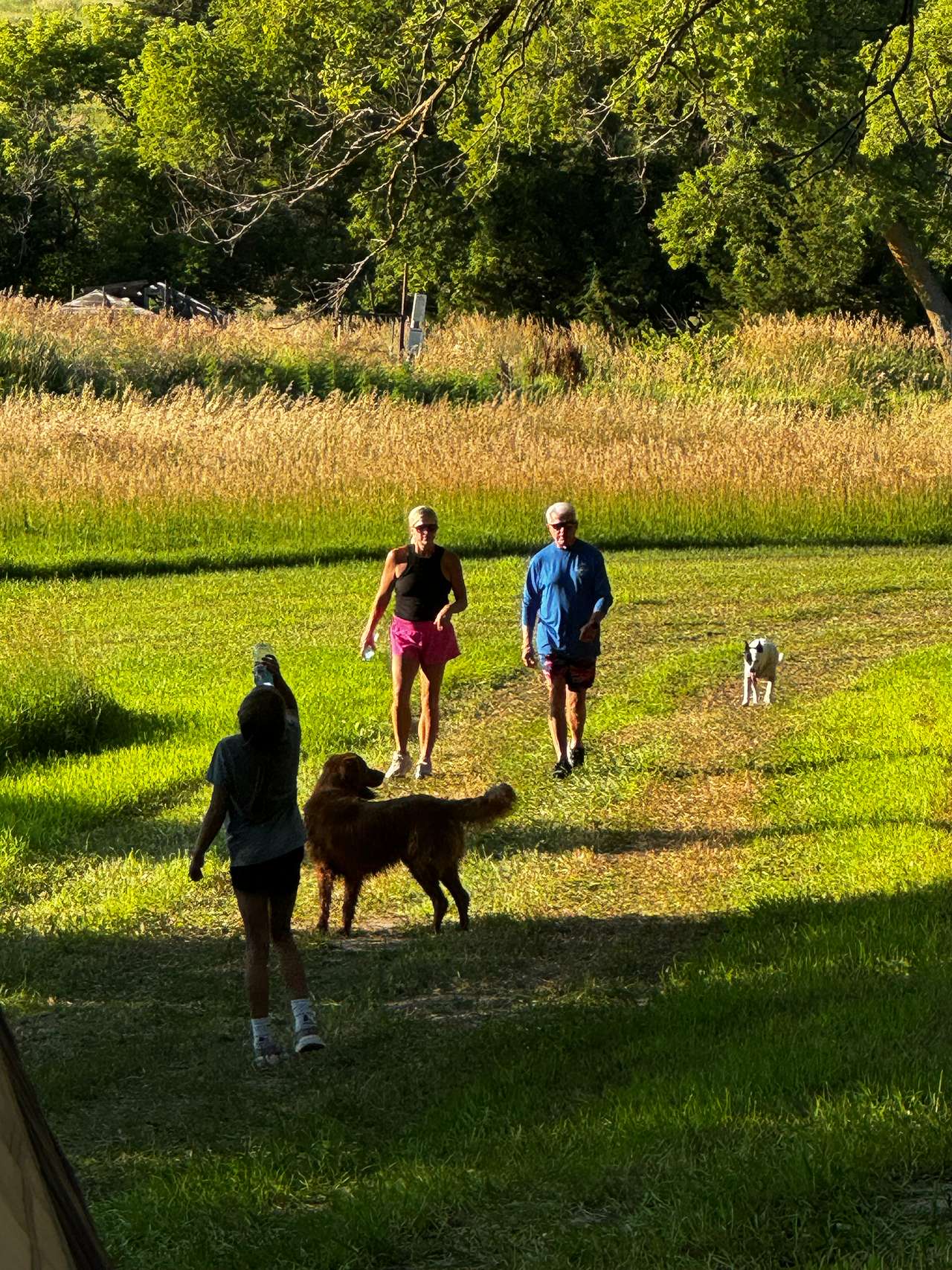Potters Pasture