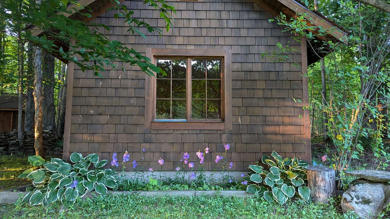 Hidden Meadow