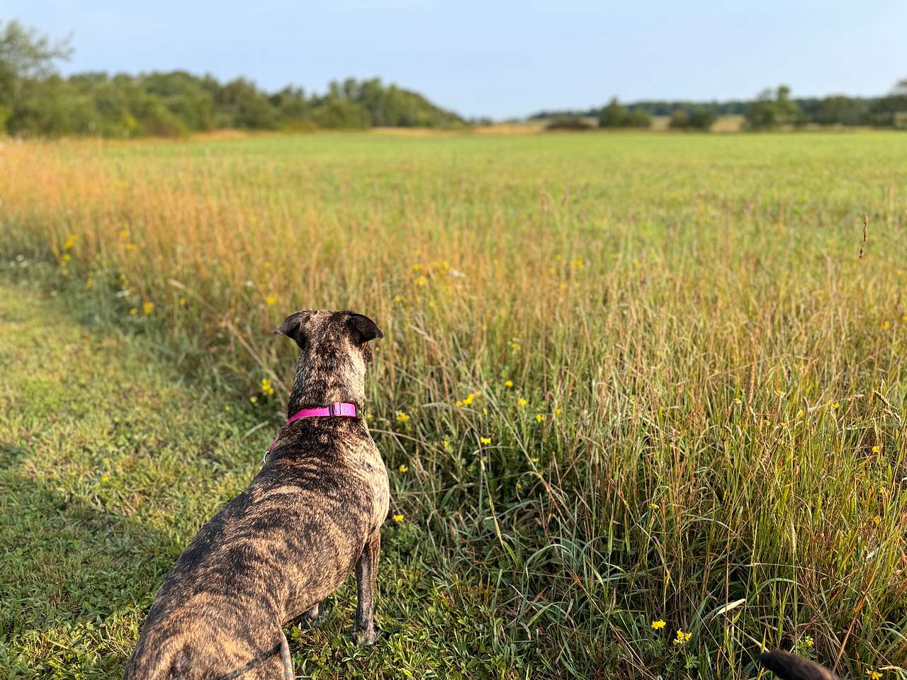 Doe Creek Hideaway