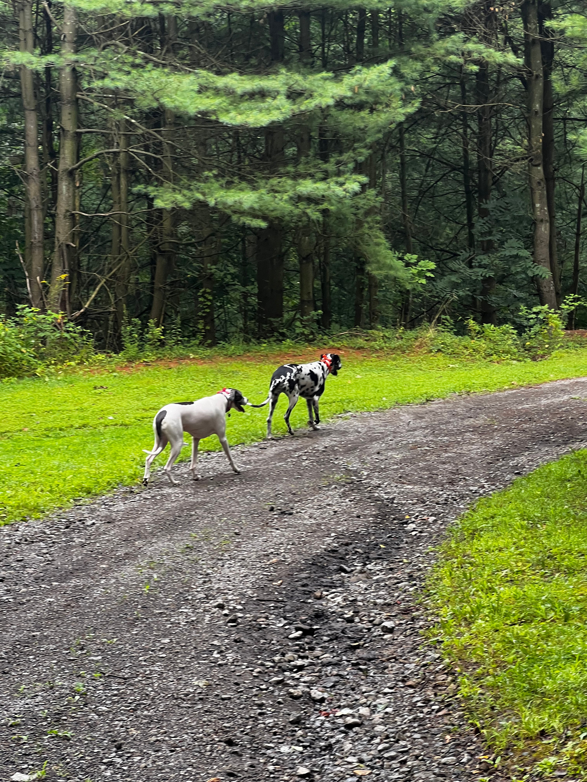 My explorers