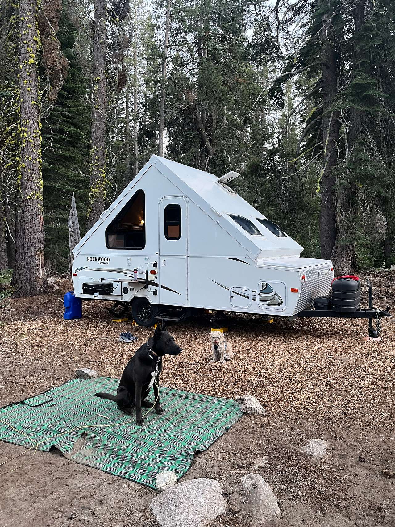 Site #12 (back in - easily fit our pop-up