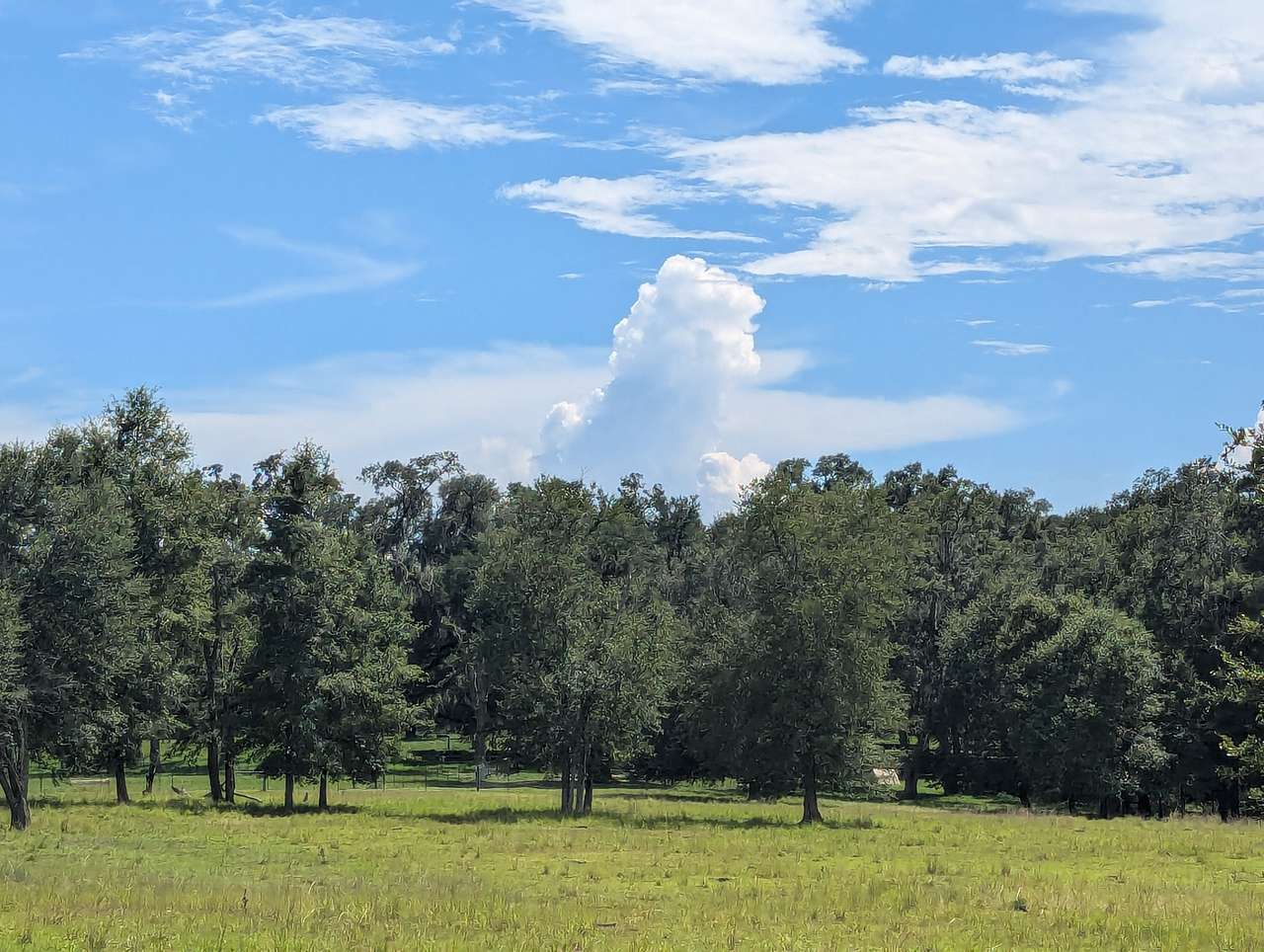 Golden Acres Ranch