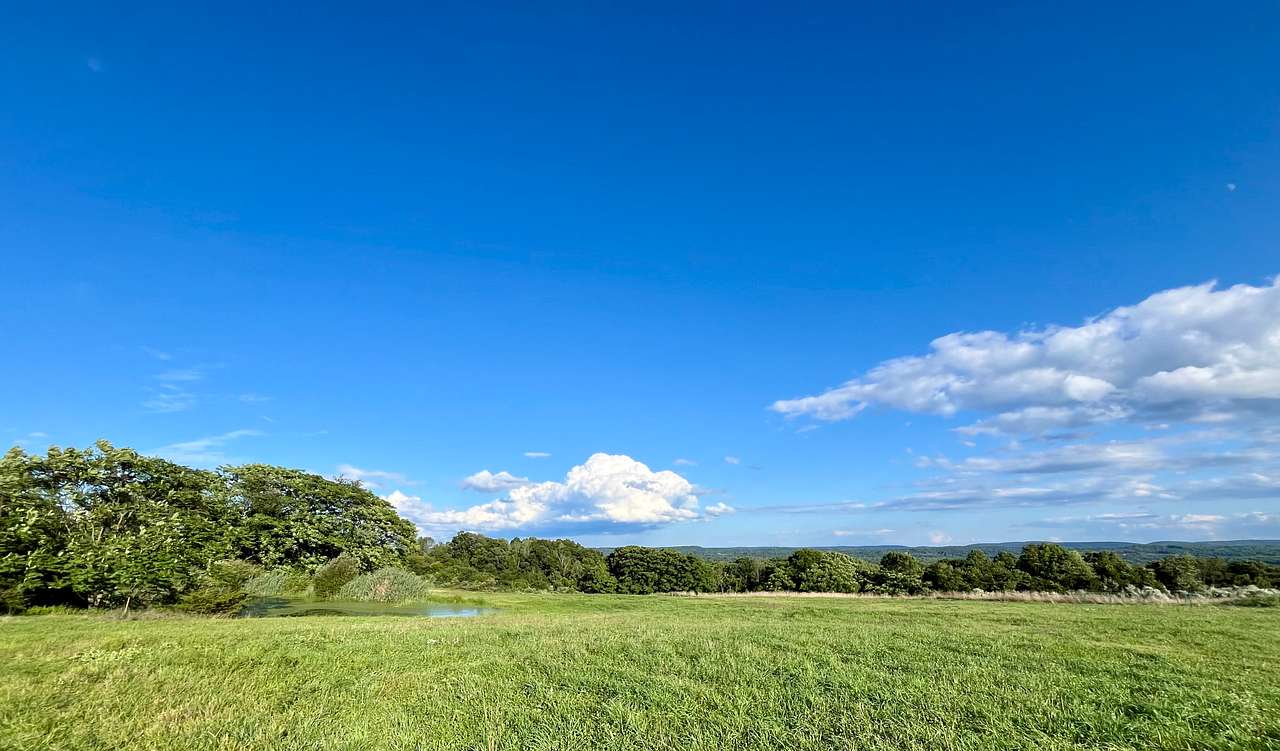 Pyour Pastures