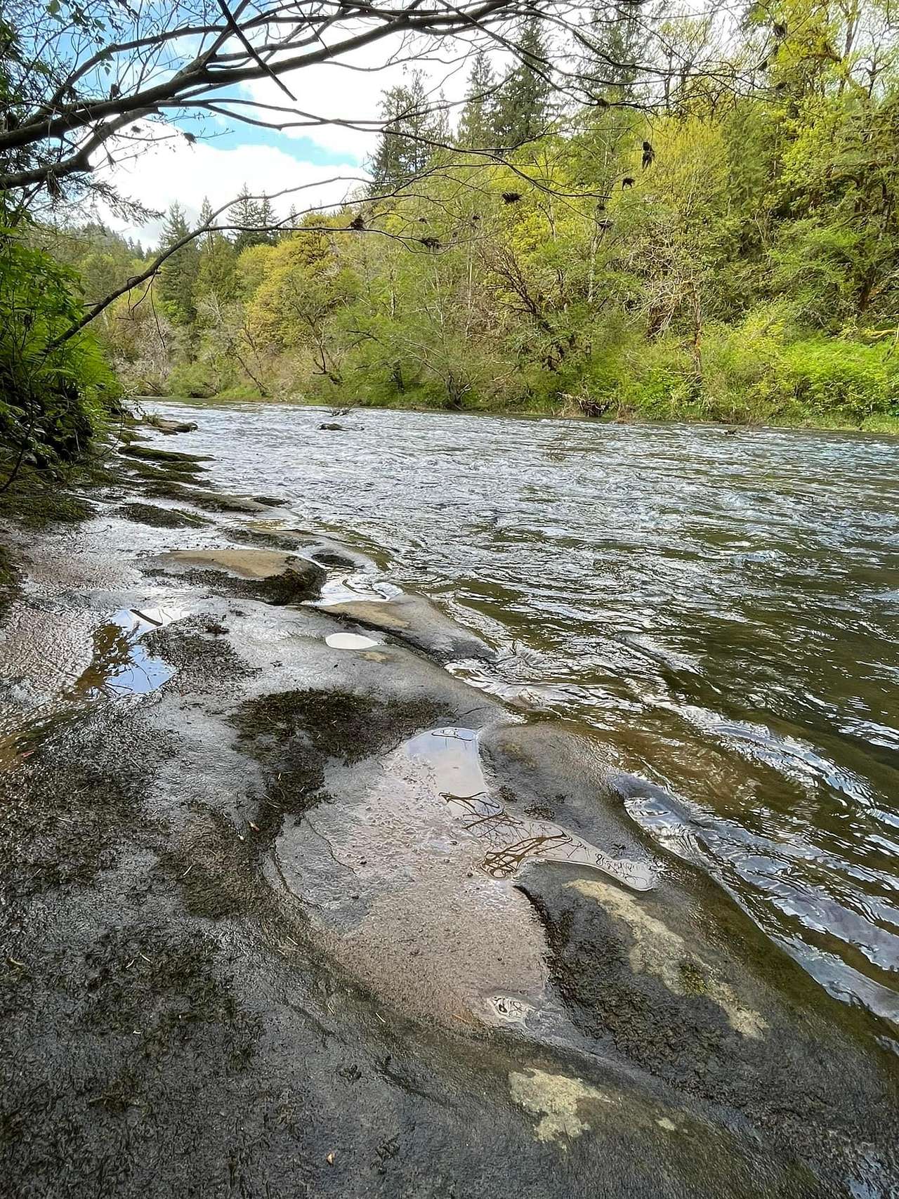 Smith River Campground