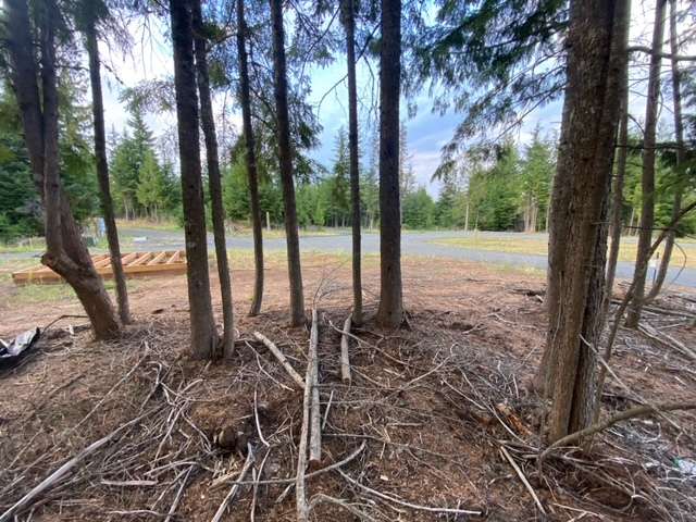 Badger Campground