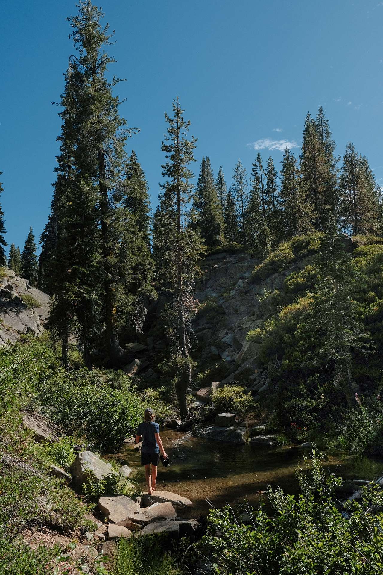 Creek in Kingvale campground