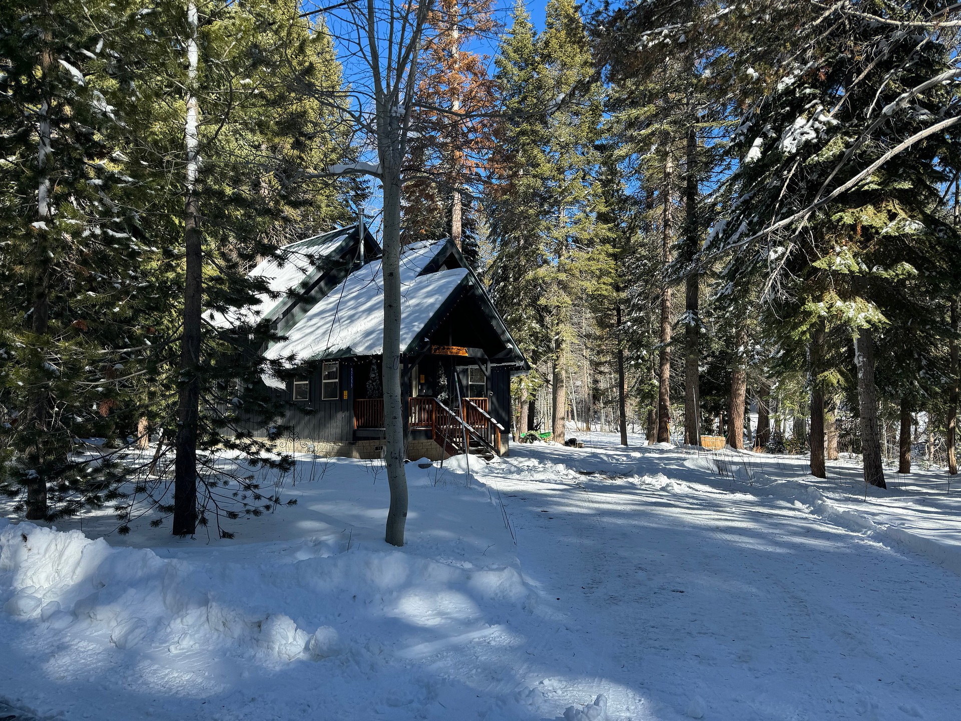 Cabin Grimm