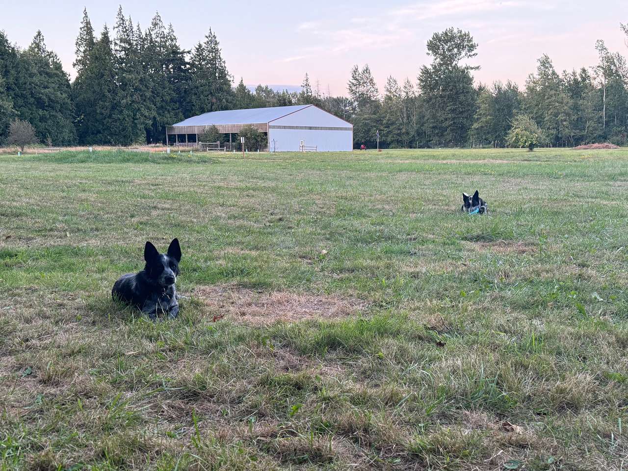 Rural Ranch Getaway