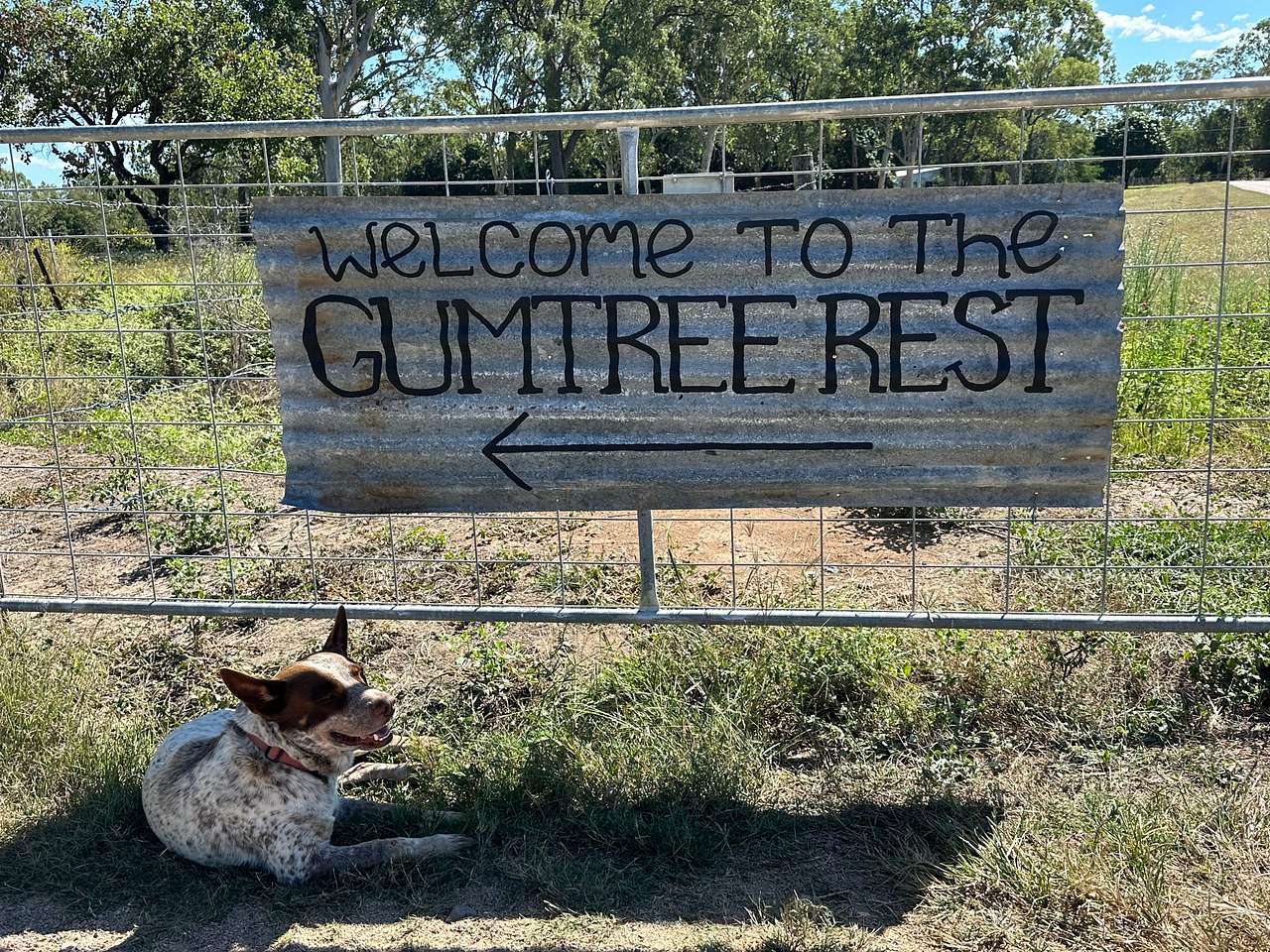 Gumtree Rest