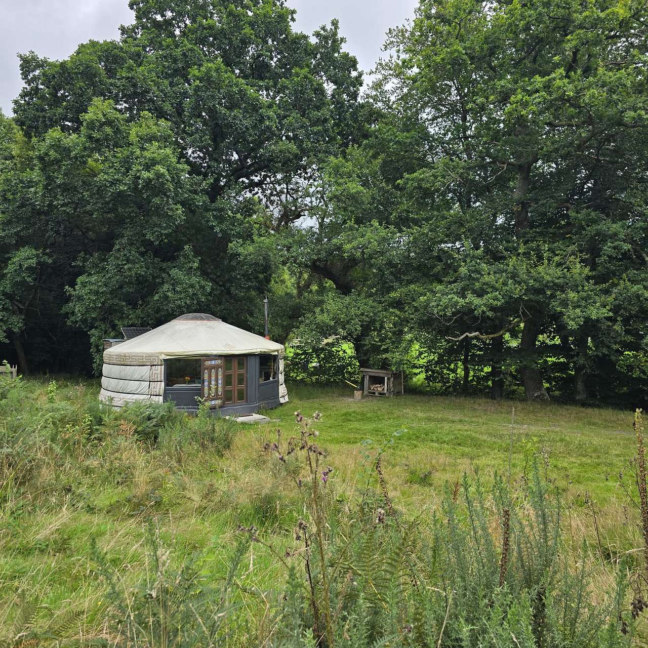 Gardd Afon/River Garden