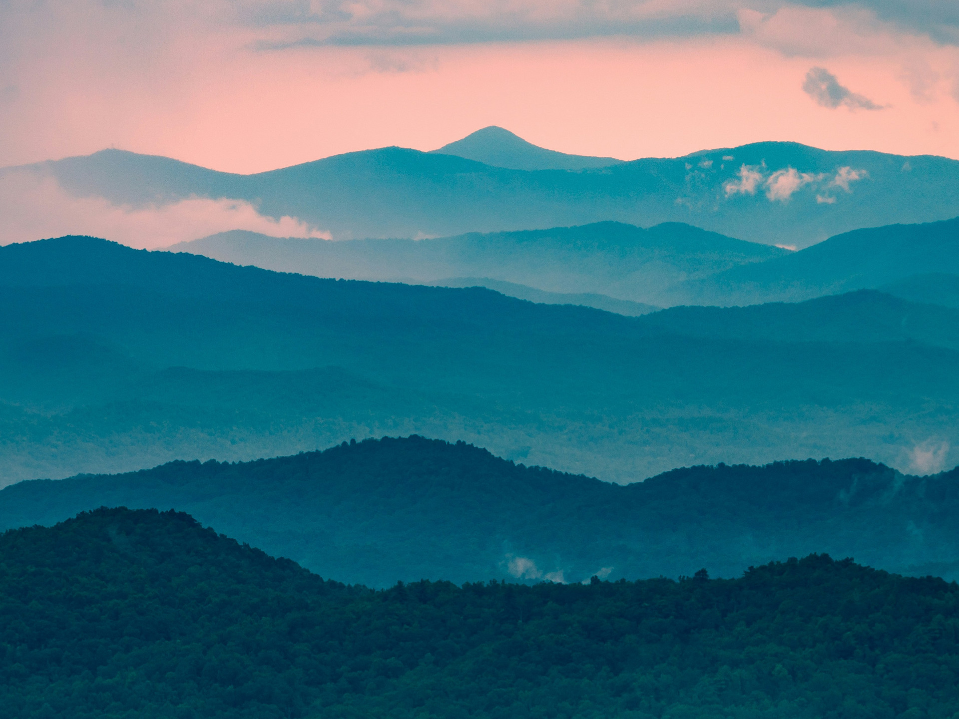 Cover photo for Shenandoah National Park