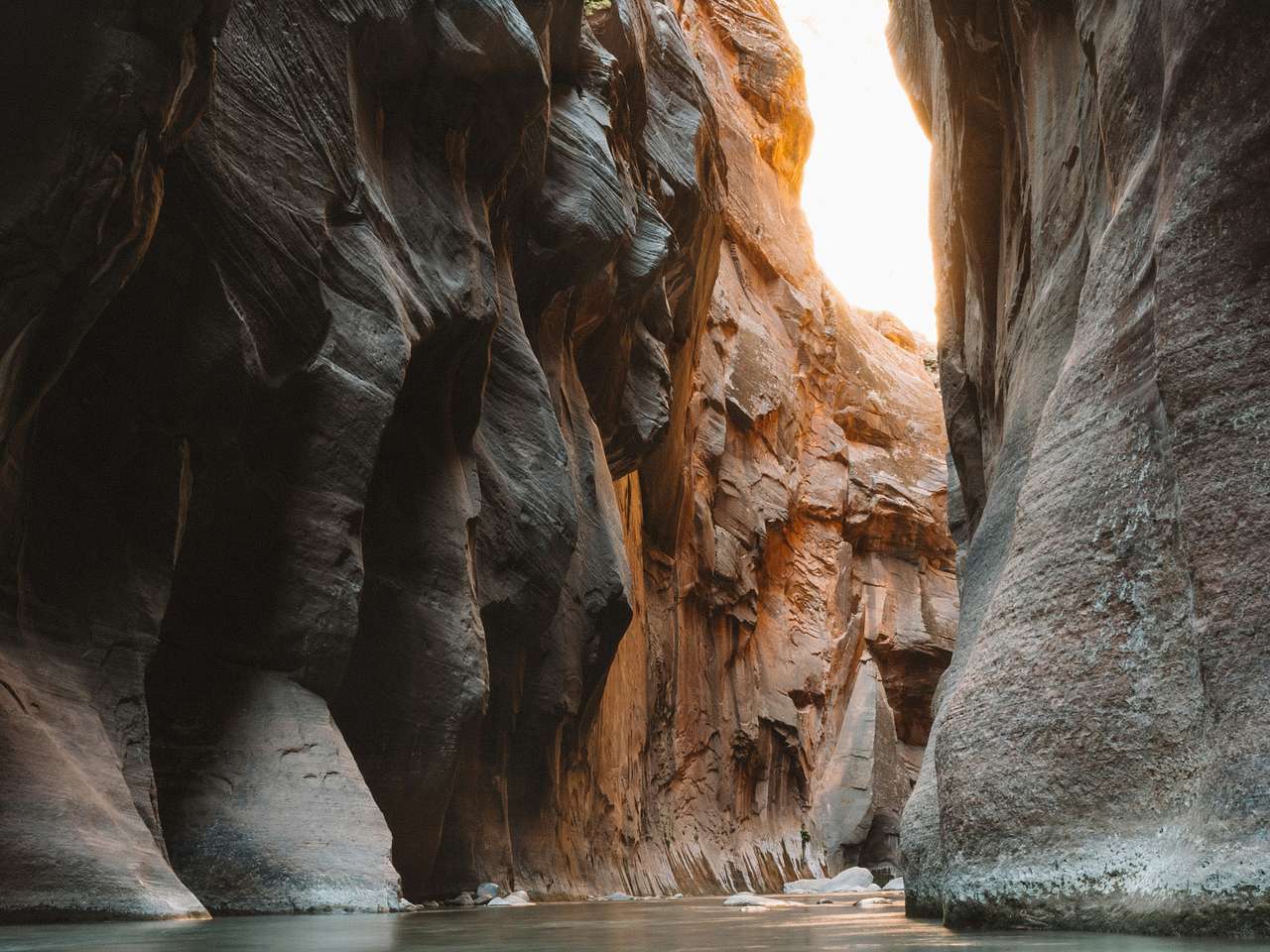 Cover photo for Zion National Park