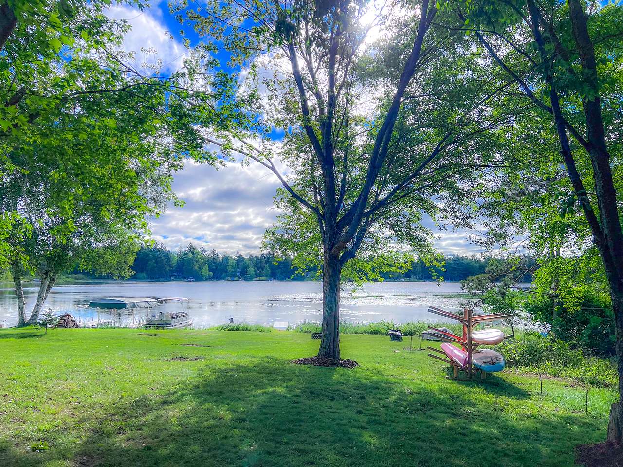 Yard with toys - small spruce tree on the left marks the property line.