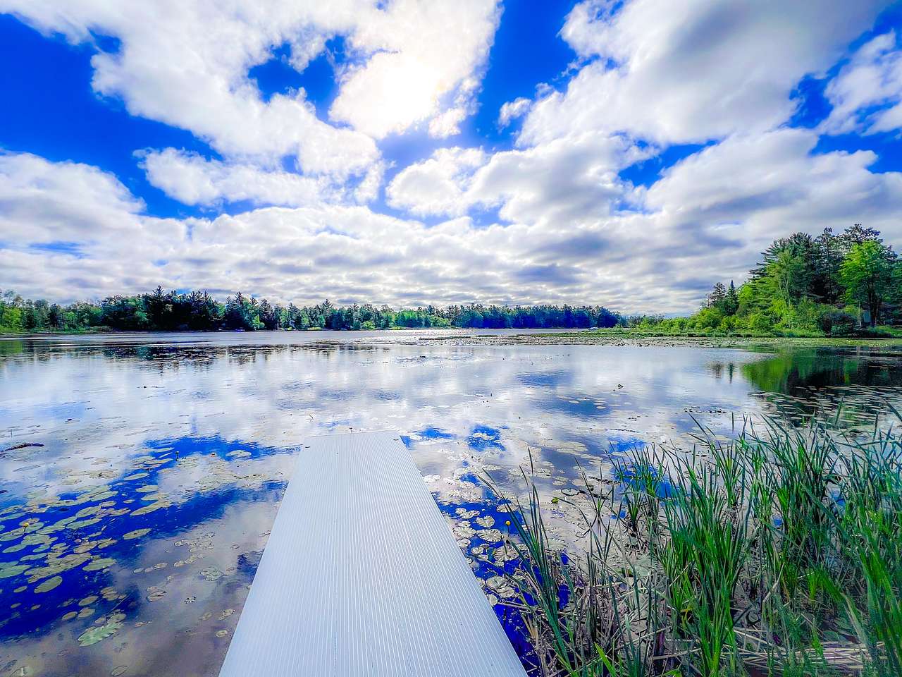 View from the Dock