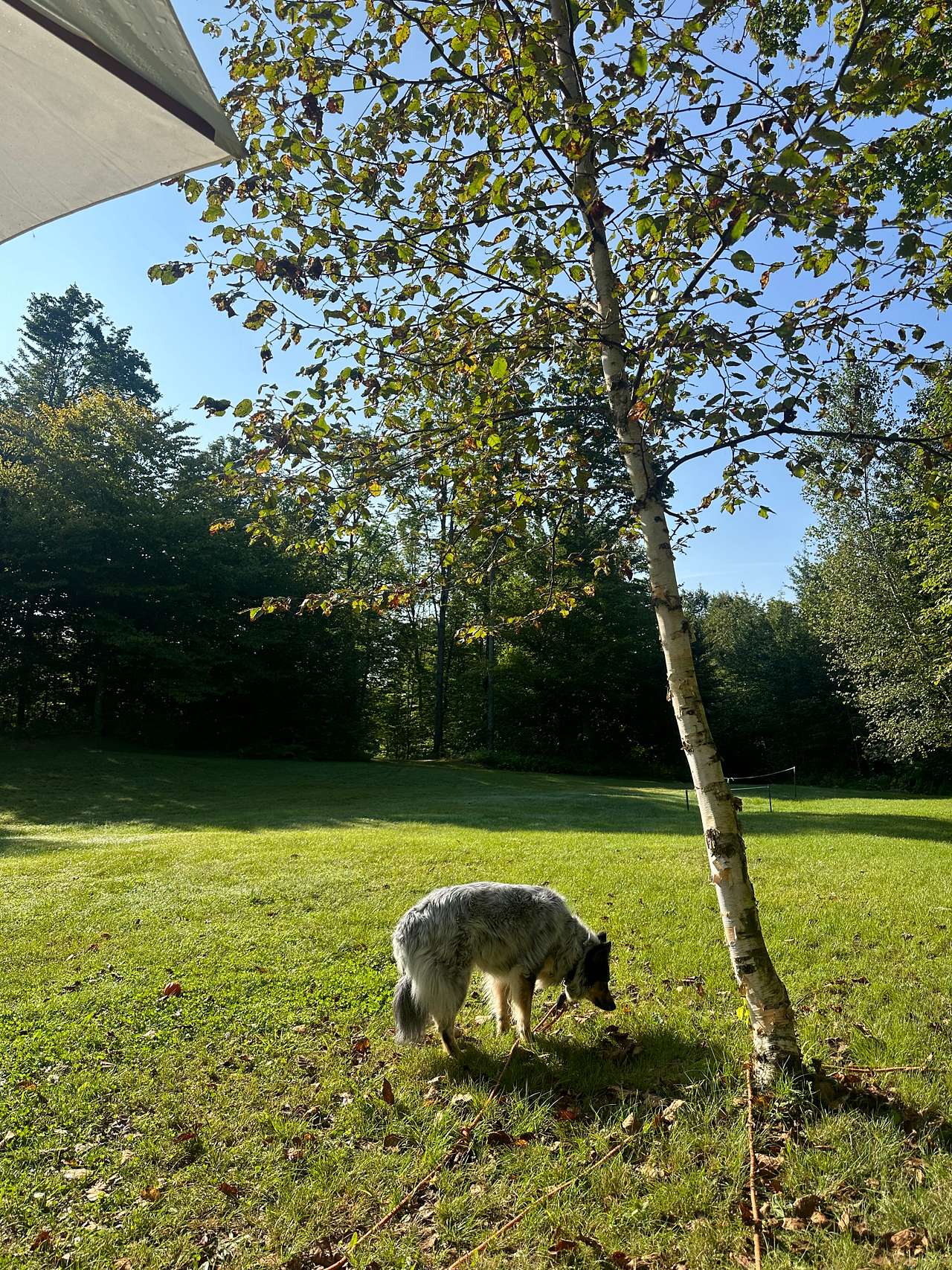 Bumpa's Camp - experience true VT!