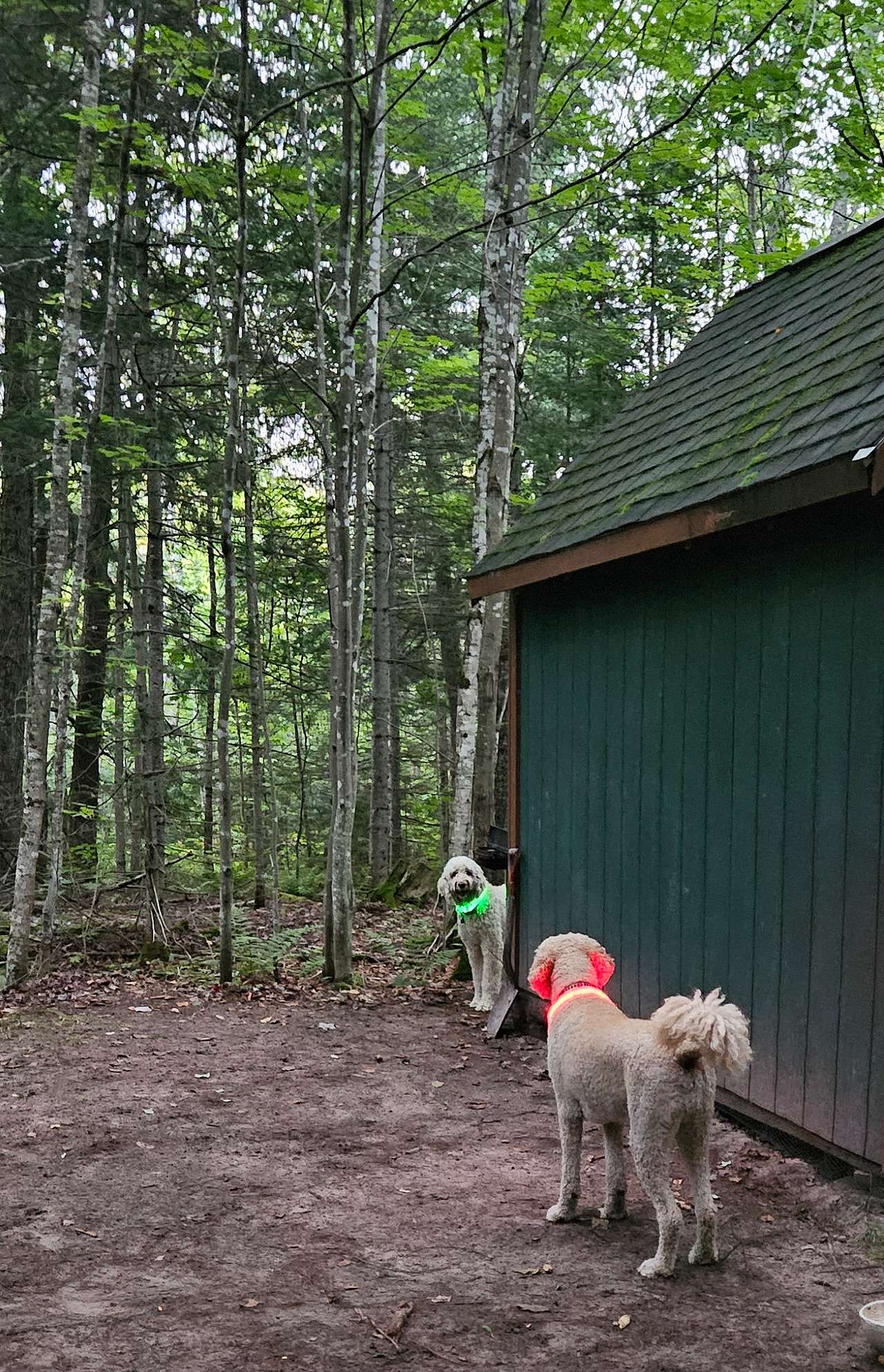 Wilderness Haven near Marquette Mi