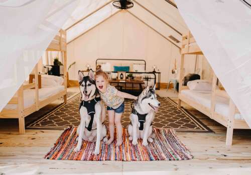 Timberline Glamping Sarasota