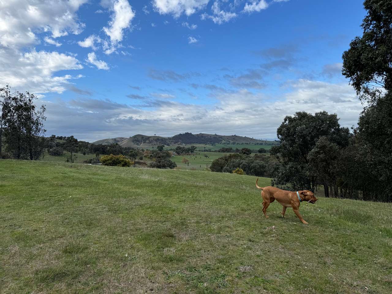 Panorama on Oxenbury