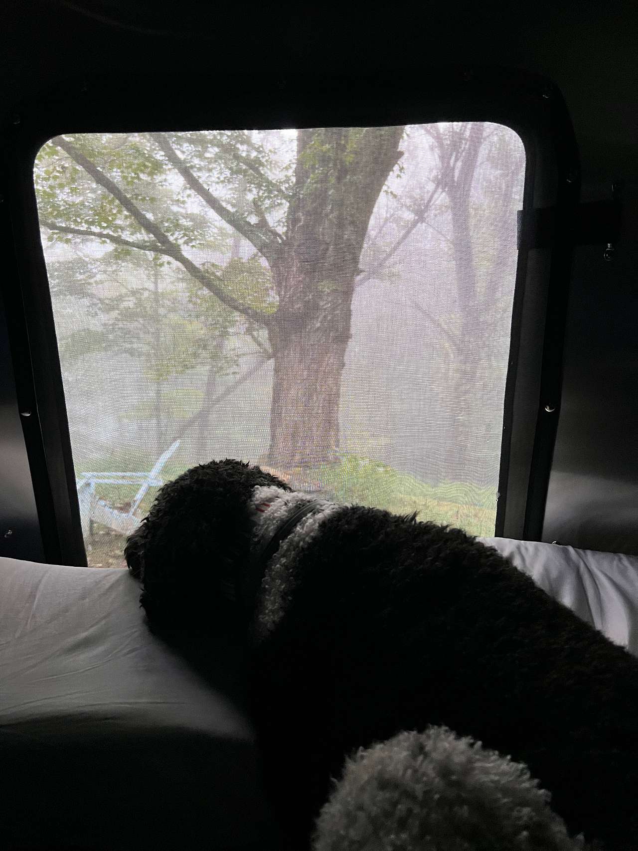 LAUREL HILL HAVEN, Va. Blue Ridge