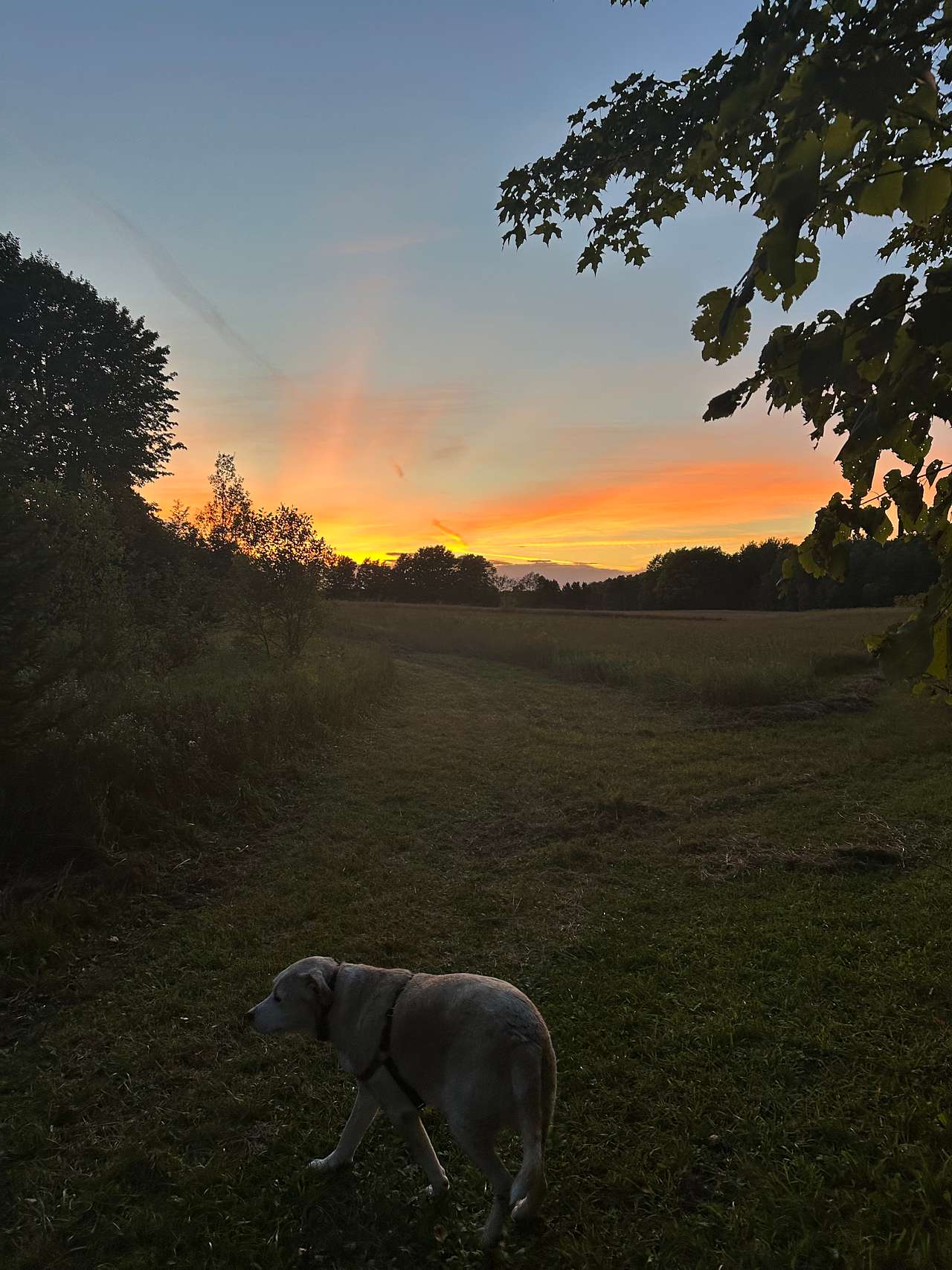Sunset around our campsite! 