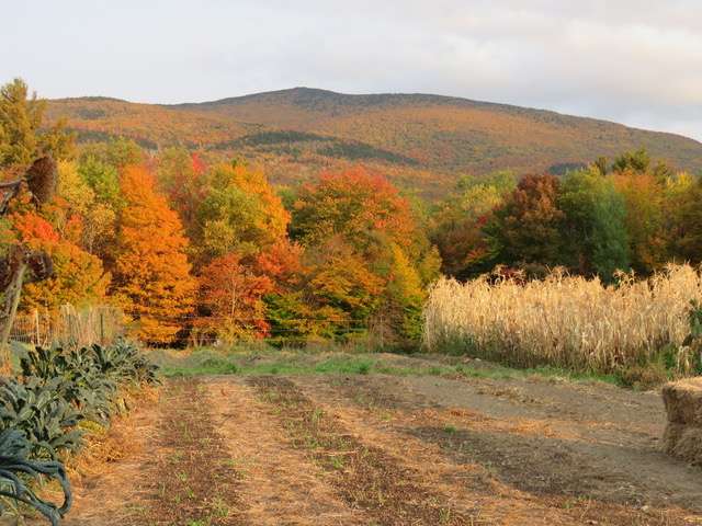 Metta Earth Farm Stay