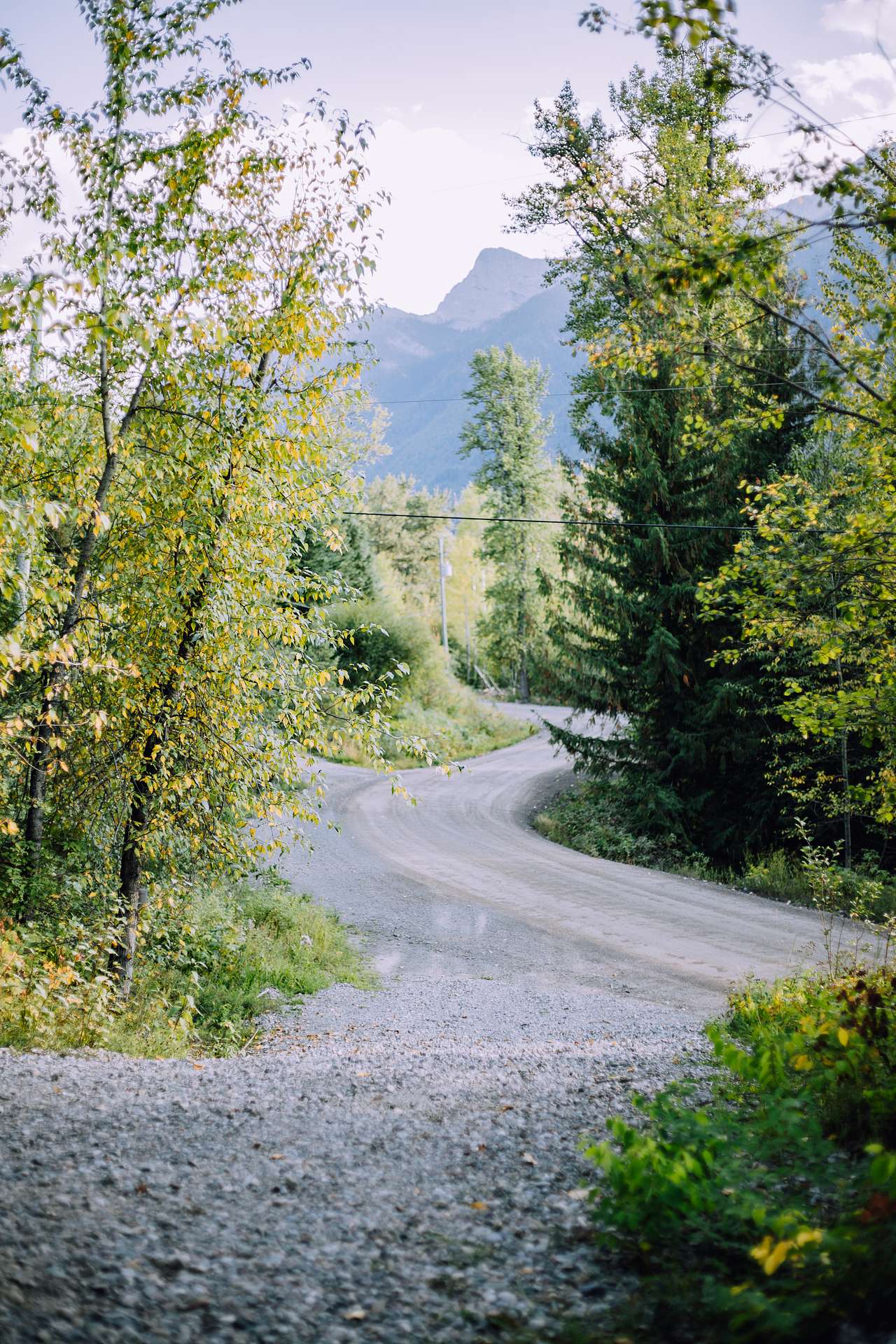 View from the campsite overlooking the trans-Canada bike path.