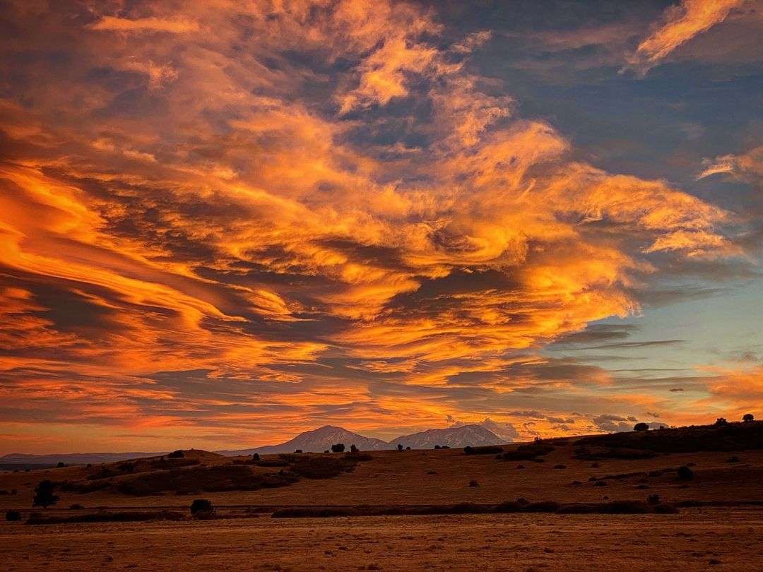 Hummingbird Ranch