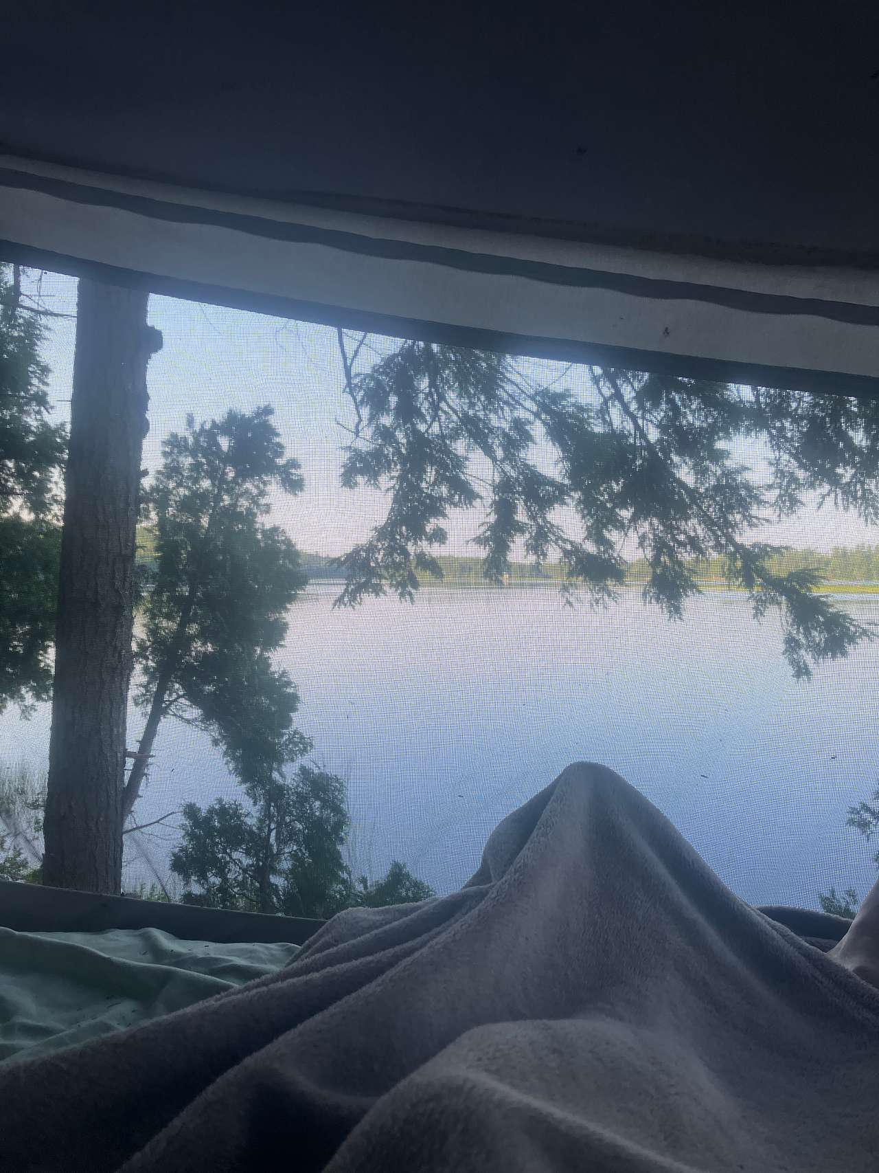 Maine Billy