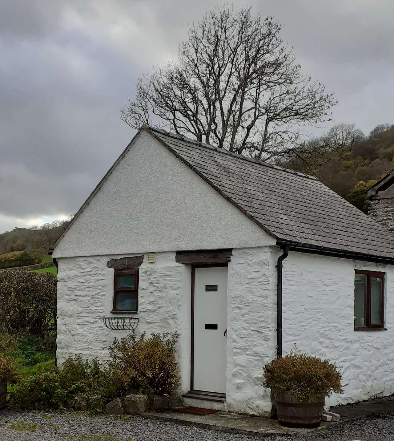 Y Llew Bach Cottage