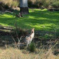 Pointro Bunkhouse and Campground