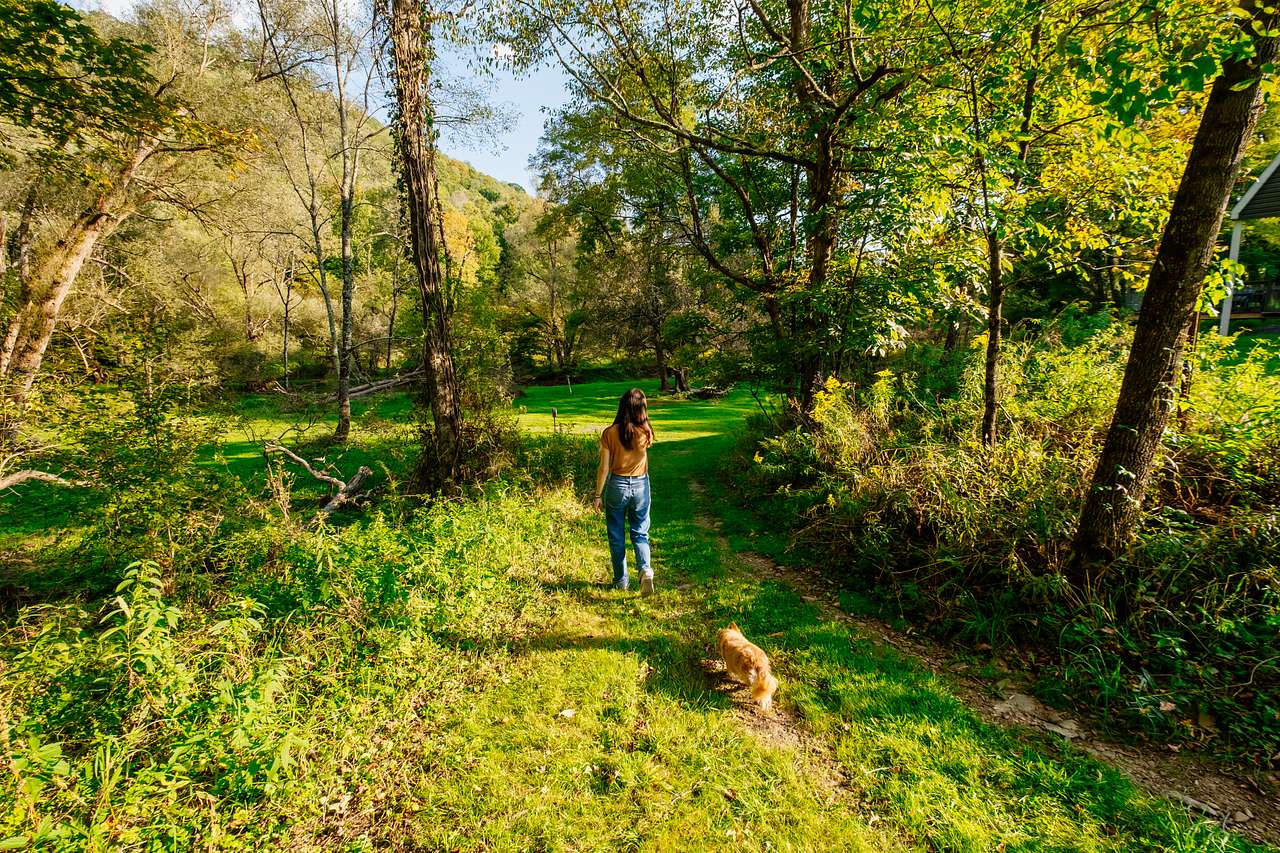 The pups loved the walking paths around the property.