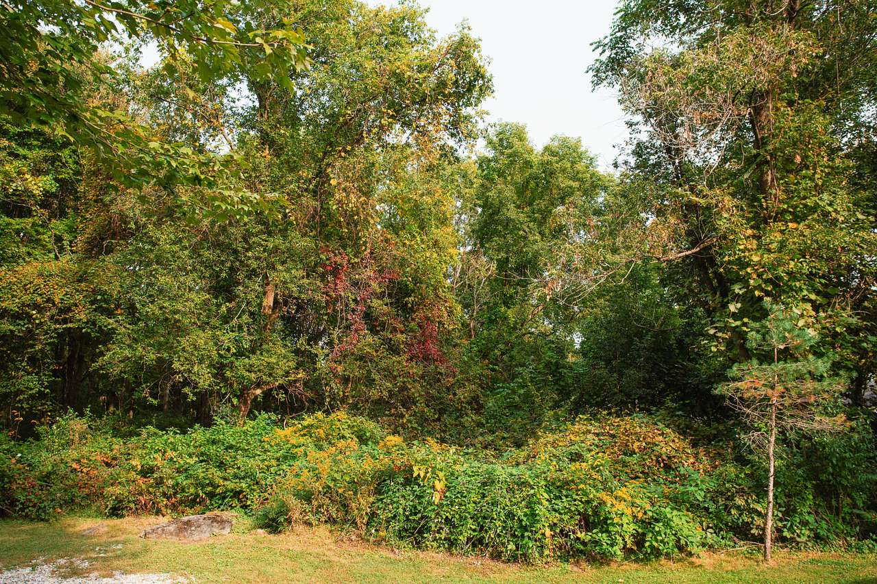 Haven Acres
