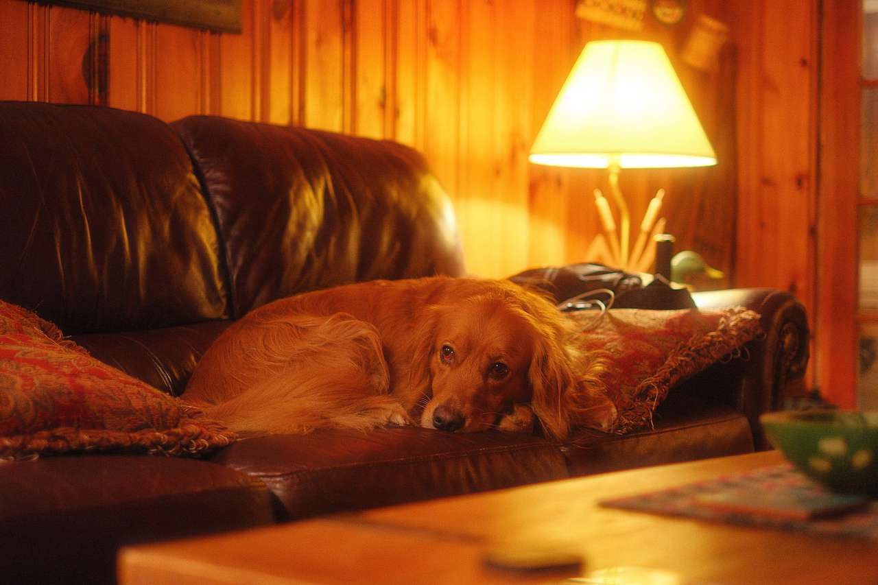 Coziest living room ever
