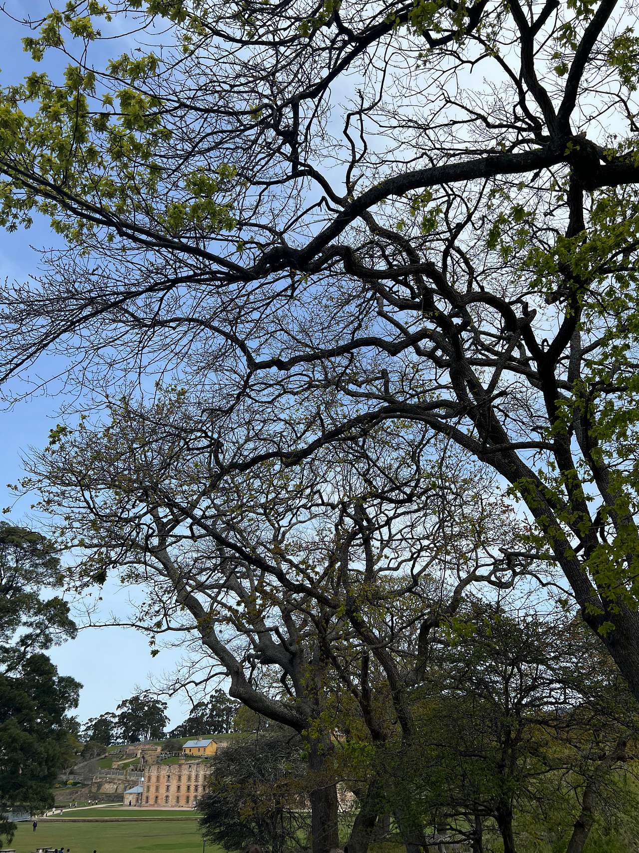 Red Gum Park