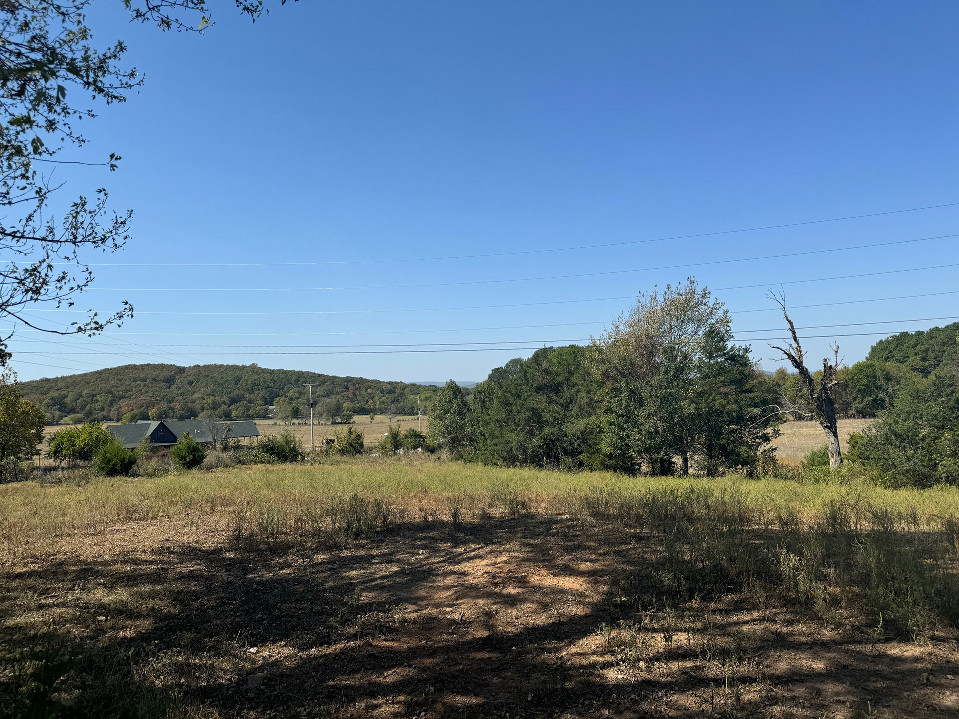 Ferguson Farms