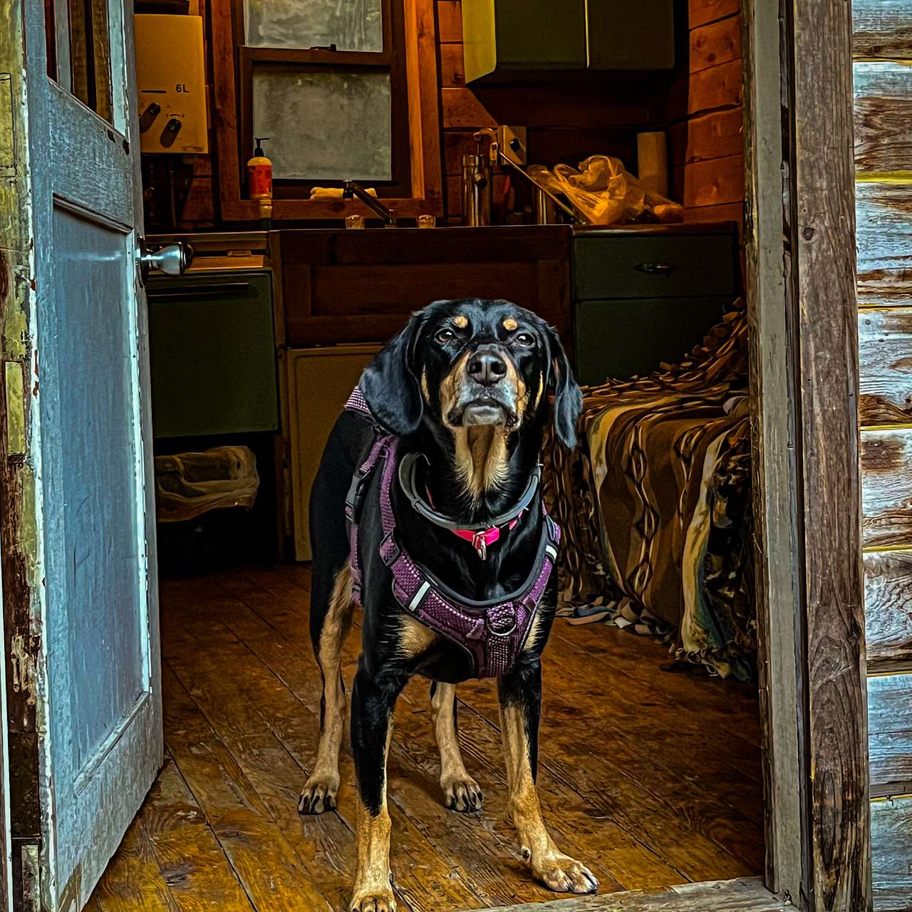 Little Log Cabin in Vermont