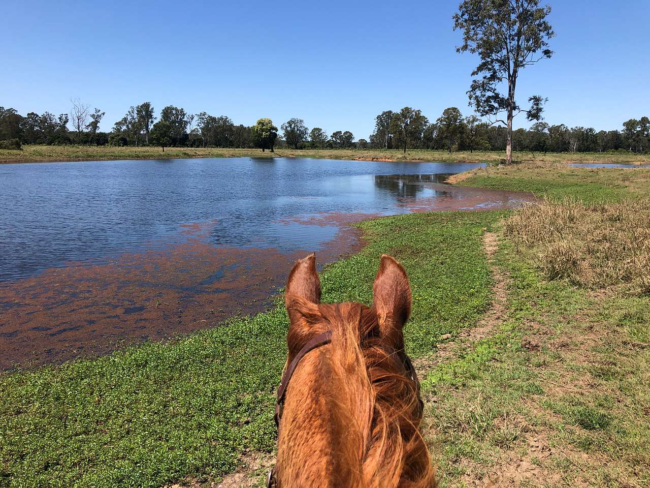 Rosehill Farmstay