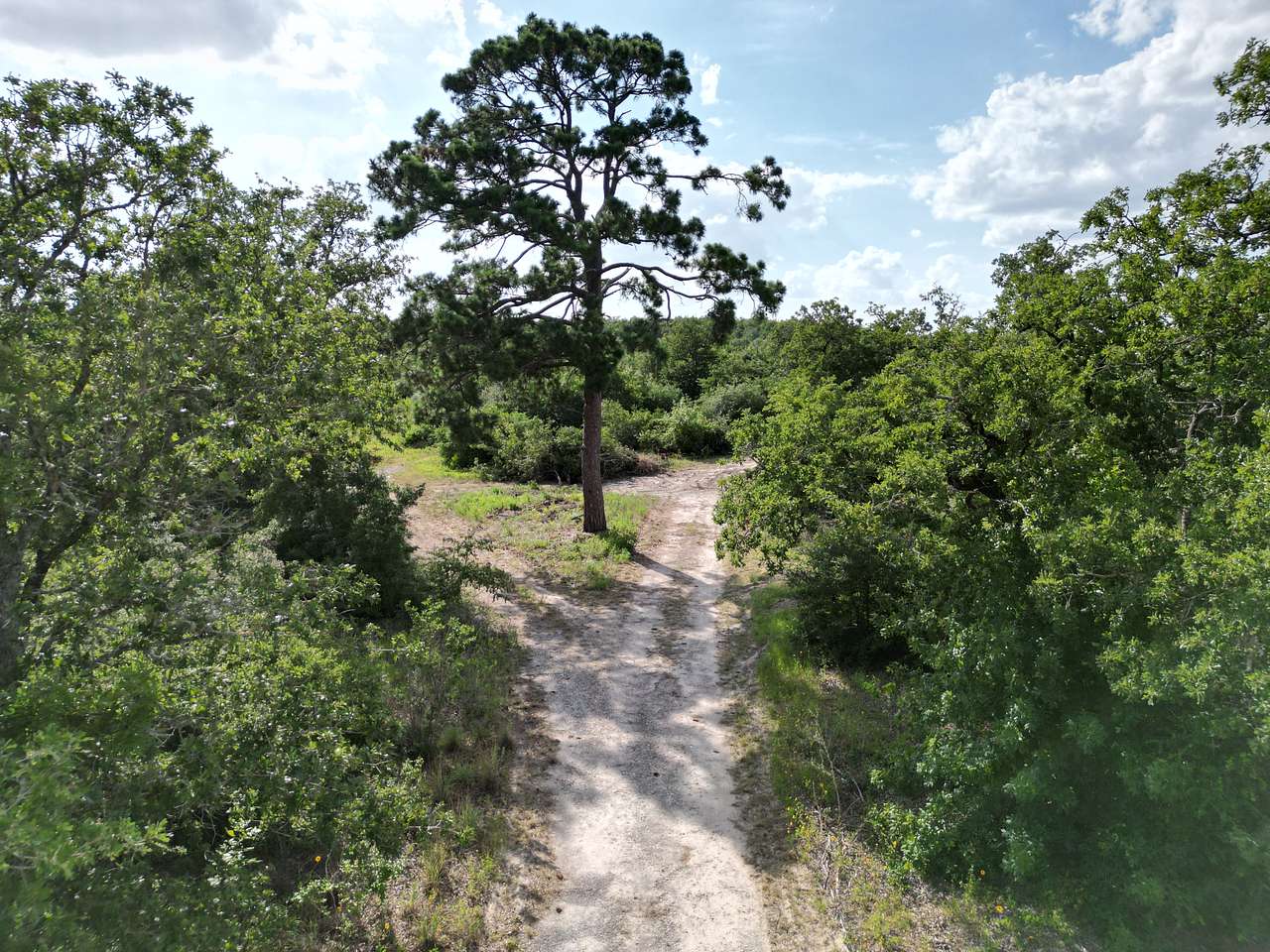 Lonesome Pine RV Park