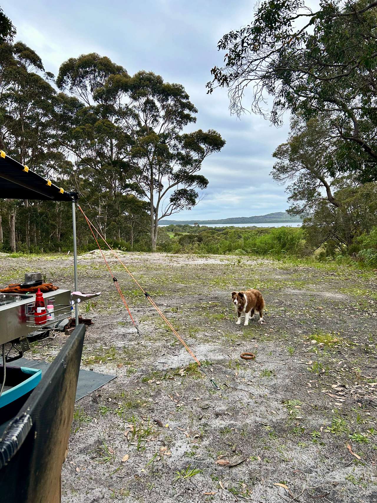View over towards Irwin Inlet. 