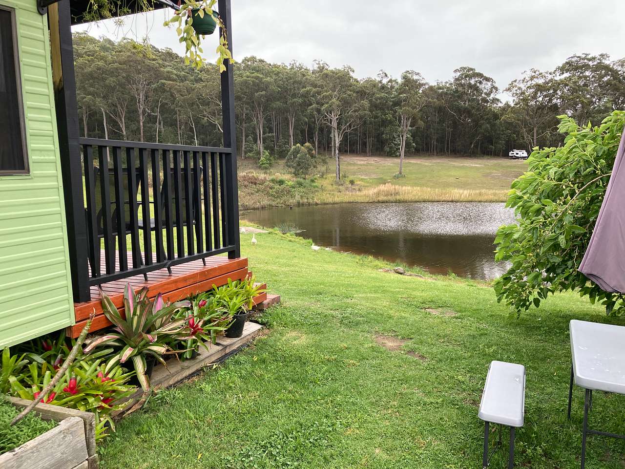 Mt Nellinda Campsite