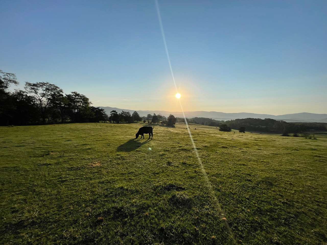 Littlehouse Farm