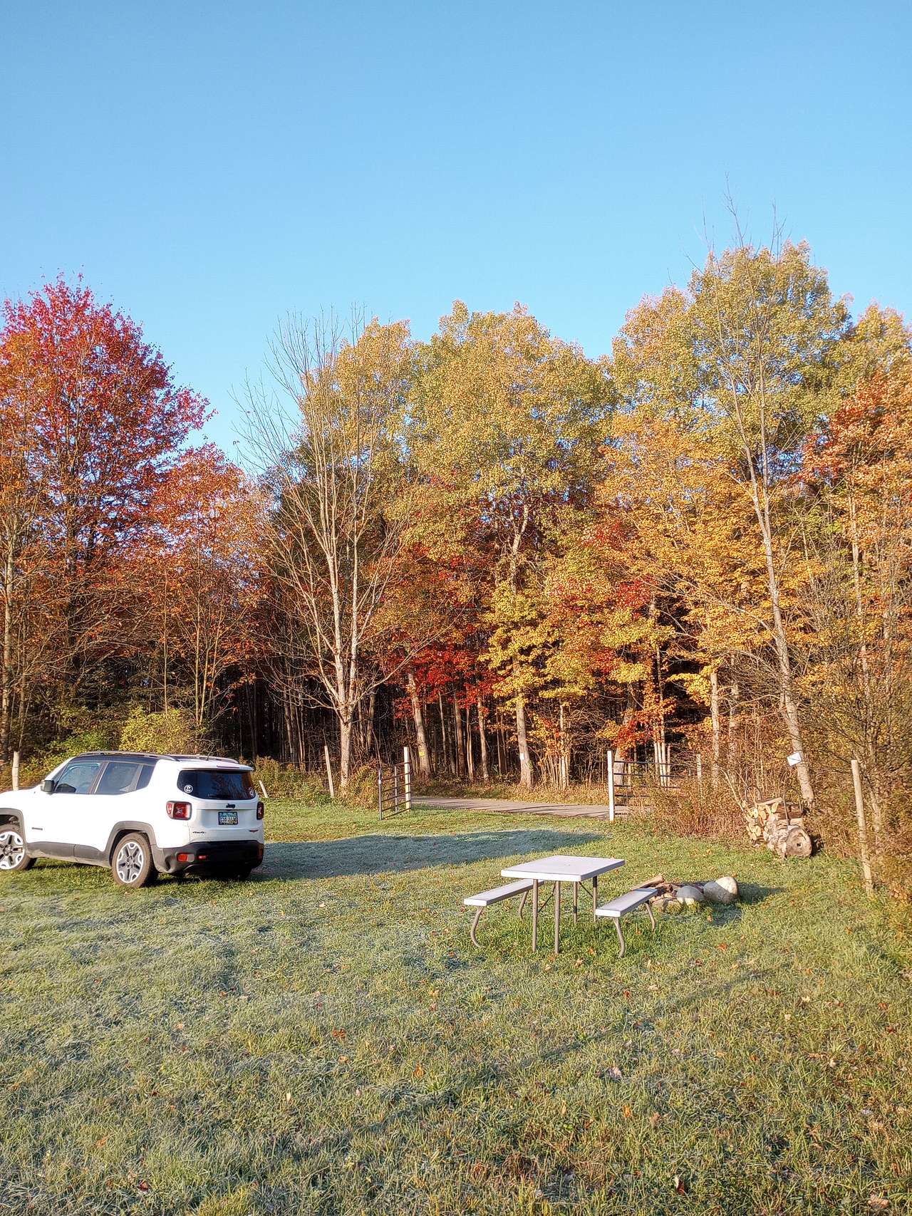 Walsh Family Farm