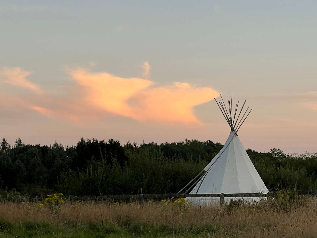 Wolford Wood Camping & Cabins