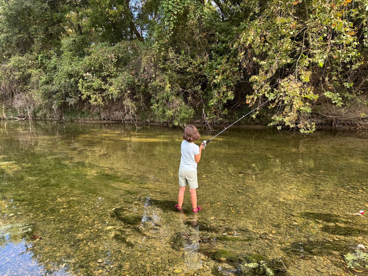 P² Farm | Scenic River Camping