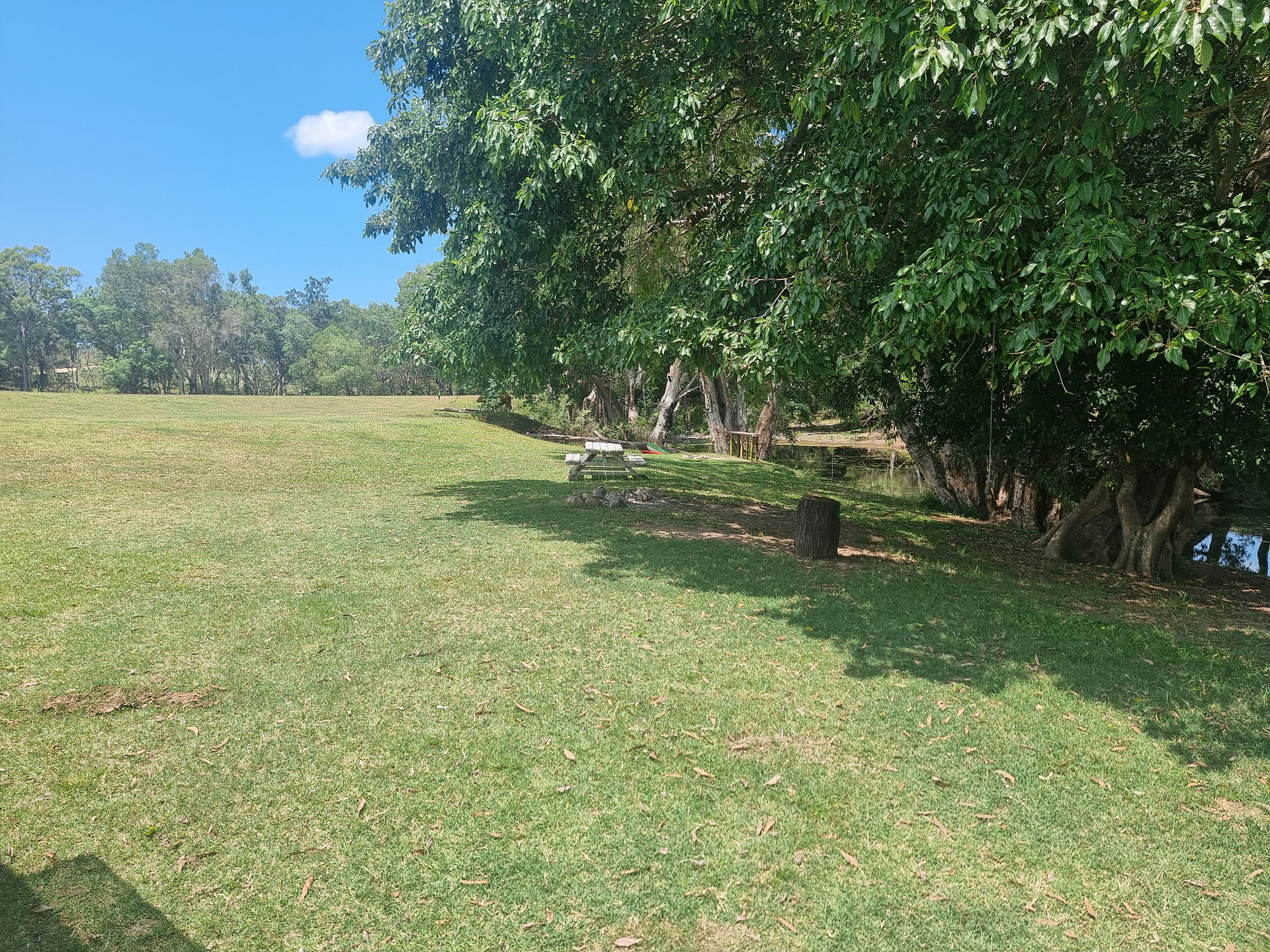 Ilbilbie Station Farm Stay
