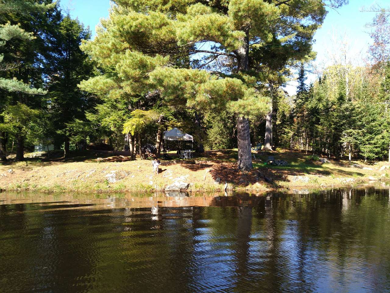 Hemlock Point Campsite 