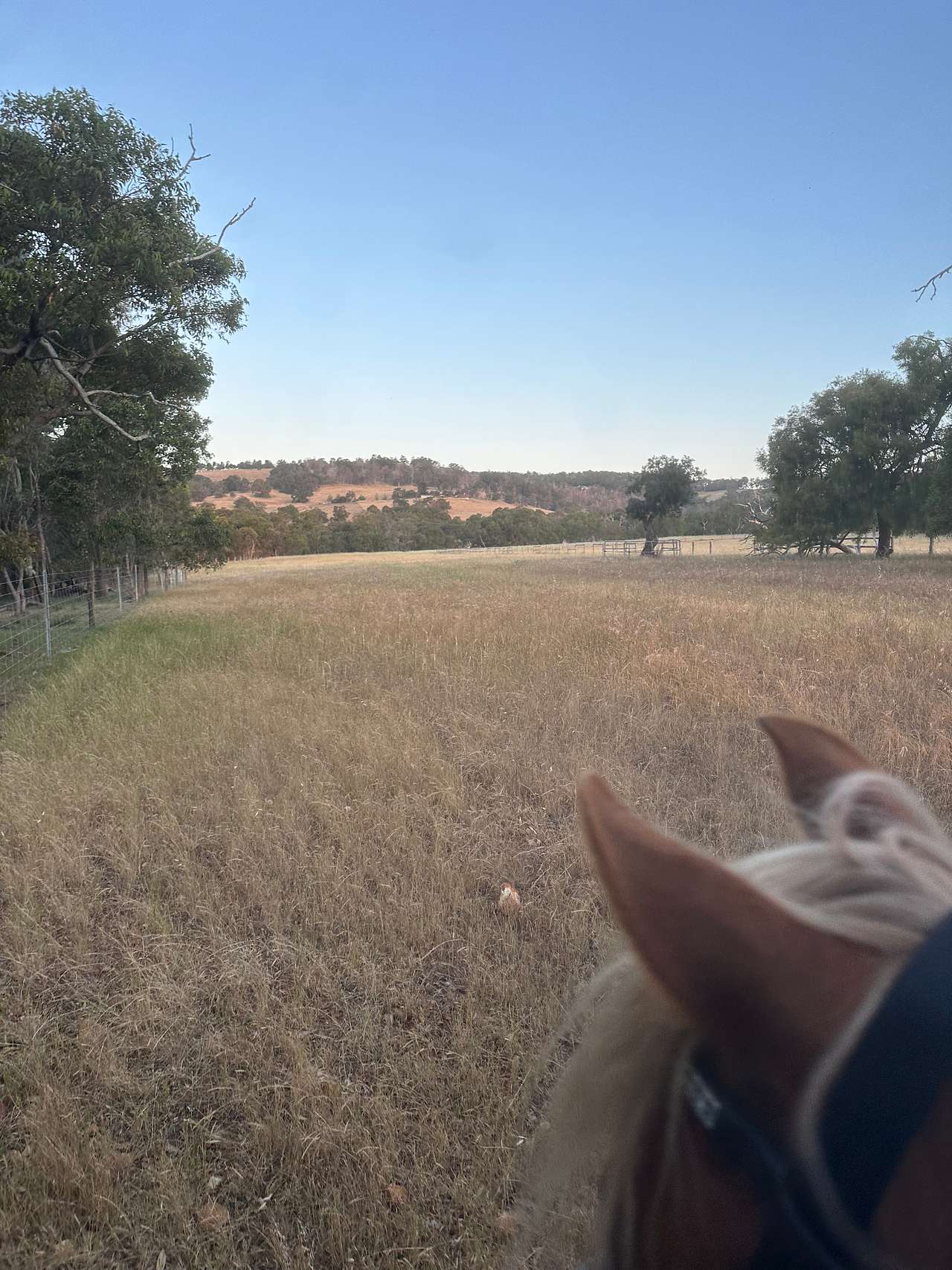 Yoga on the Farm